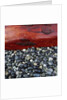 Log on Pebbles by Anonymous