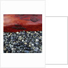 Log on Pebbles by Anonymous