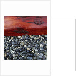 Log on Pebbles by Anonymous