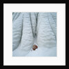 Snowy Cliff by Anonymous