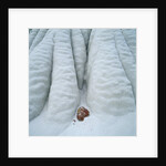 Snowy Cliff by Anonymous