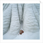 Snowy Cliff by Anonymous