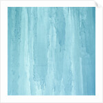 Ice Sheet by Anonymous