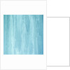 Ice Sheet by Anonymous