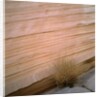 Sandstone Cliff by Anonymous