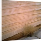 Sandstone Cliff by Anonymous