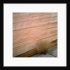 Sandstone Cliff by Anonymous
