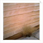 Sandstone Cliff by Anonymous