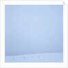 Snowy Meadow and Overcast Sky by Anonymous