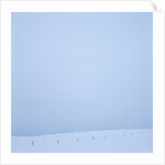 Snowy Meadow and Overcast Sky by Anonymous