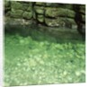 Green Rocks and River by Anonymous