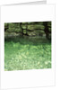 Green Rocks and River by Anonymous