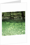 Green Rocks and River by Anonymous