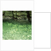 Green Rocks and River by Anonymous