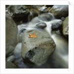 Flowing River by Anonymous