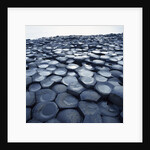 Basalt Columns by Anonymous