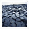 Basalt Columns by Anonymous