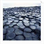 Basalt Columns by Anonymous