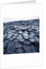Basalt Columns by Anonymous
