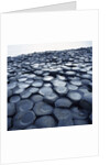 Basalt Columns by Anonymous