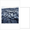 Basalt Columns by Anonymous