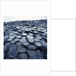 Basalt Columns by Anonymous