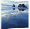 Sea Stacks in Ocean by Anonymous