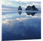 Sea Stacks in Ocean by Anonymous