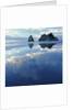 Sea Stacks in Ocean by Anonymous