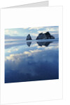 Sea Stacks in Ocean by Anonymous