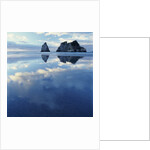 Sea Stacks in Ocean by Anonymous