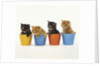 Four Kittens in Plastic Cups by Anonymous