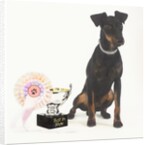 Manchester Terrier with Trophy by Anonymous