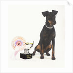 Manchester Terrier with Trophy by Anonymous
