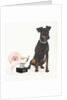 Manchester Terrier with Trophy by Anonymous