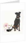 Manchester Terrier with Trophy by Anonymous