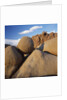 Rock Formation in Joshua Tree National Park by Anonymous