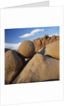 Rock Formation in Joshua Tree National Park by Anonymous