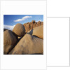 Rock Formation in Joshua Tree National Park by Anonymous