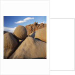Rock Formation in Joshua Tree National Park by Anonymous