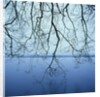 Tree Branch over Lake by Anonymous