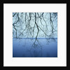 Tree Branch over Lake by Anonymous