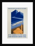 Danube Steam Navigation Company Poster by Hanns Wagula