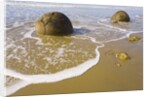 Large Moeraki Boulders on Koekoche Beach by Anonymous