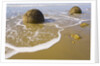 Large Moeraki Boulders on Koekoche Beach by Anonymous