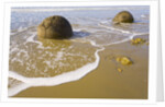 Large Moeraki Boulders on Koekoche Beach by Anonymous