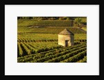 Round Stone Shelter in Vineyard by Anonymous