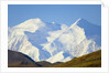 Mt. McKinley on Sunny Day by Anonymous