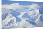 Mt. McKinley on Sunny Day by Anonymous
