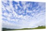 Green Hills Under Cumulus Clouds in Canada by Anonymous